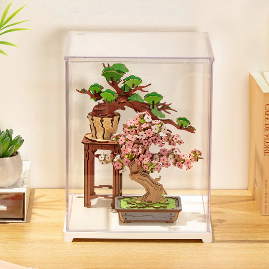 Acrylic Display Case (L)