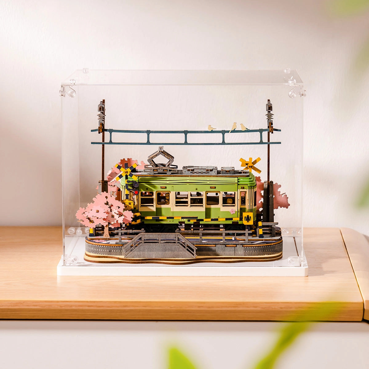 Creation Set Display Box